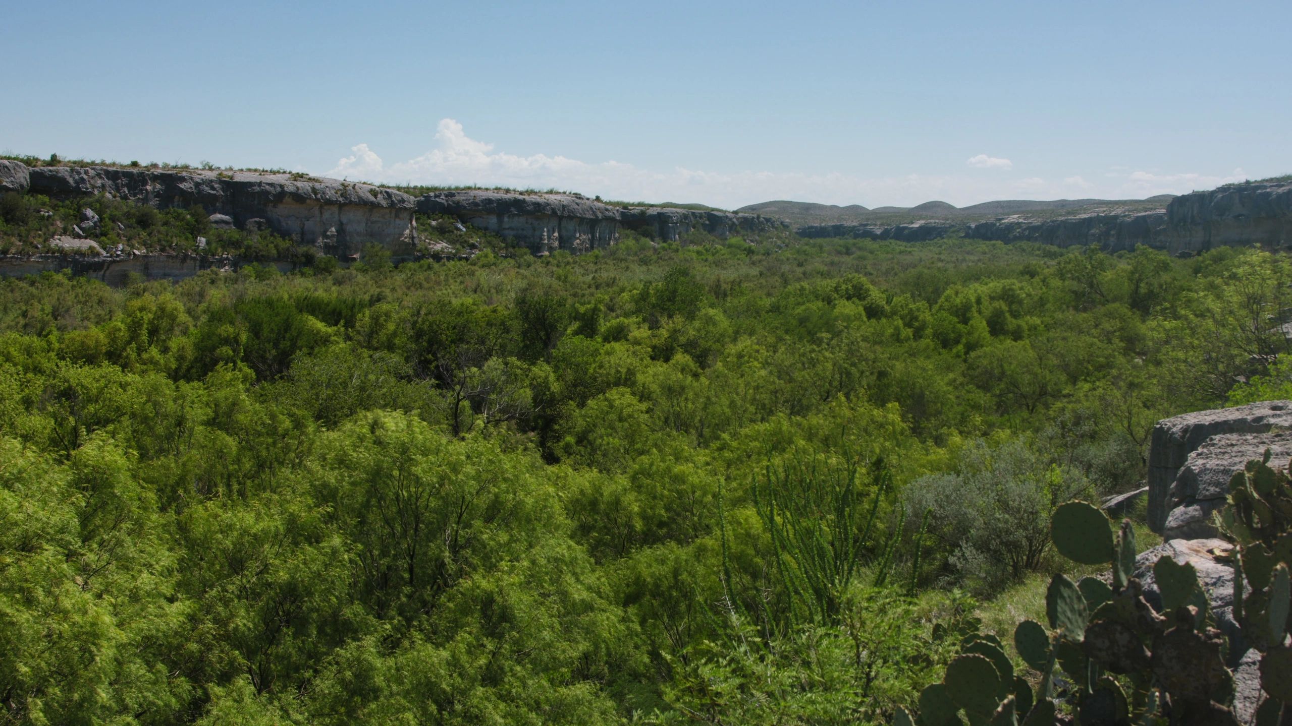 Wide Texas landscape near Langtry